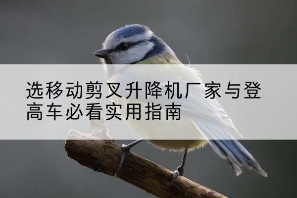 岚山电动升降机厂家-选移动剪叉升降机厂家与登高车必看实用指南