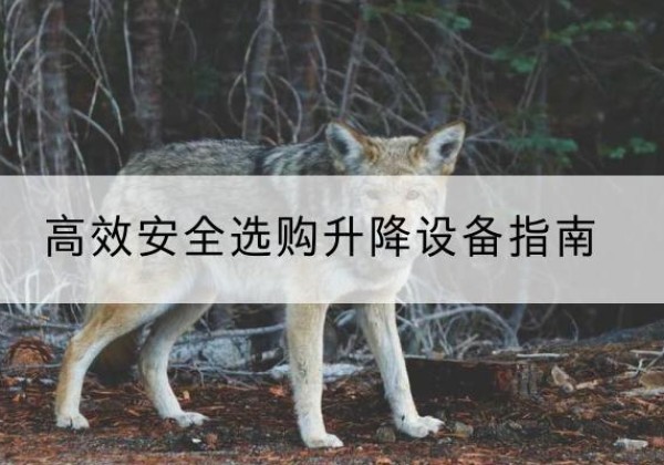 岚山升降货梯厂家推荐-*安全选购升降设备指南